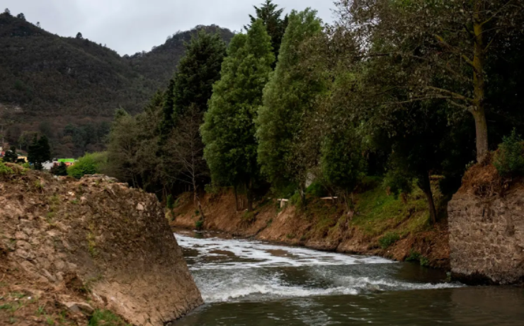 Paisaje de río rodeado de árboles