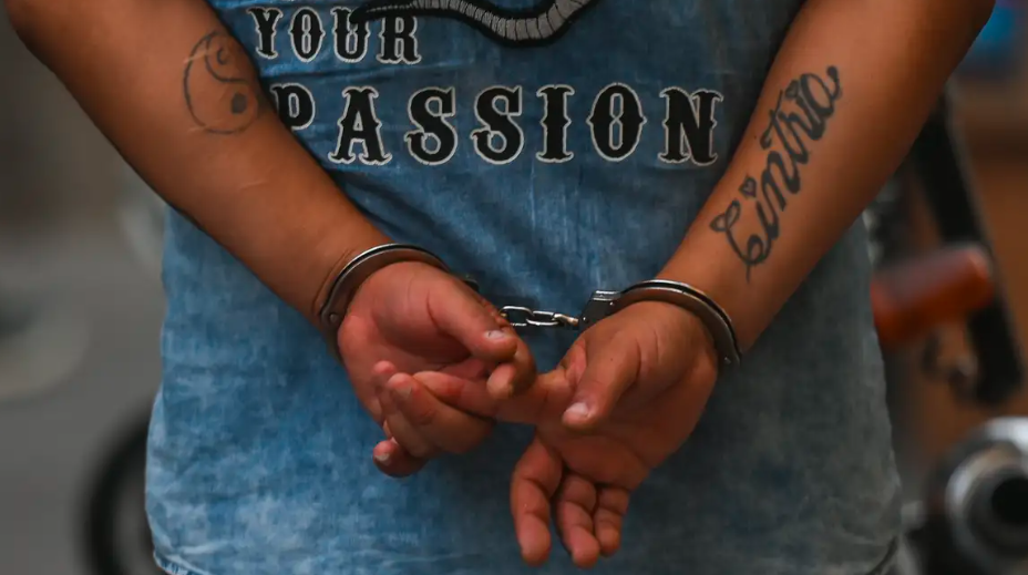 Delincuencia en Per&uacute;: &iquest;un problema por negligencia propia?