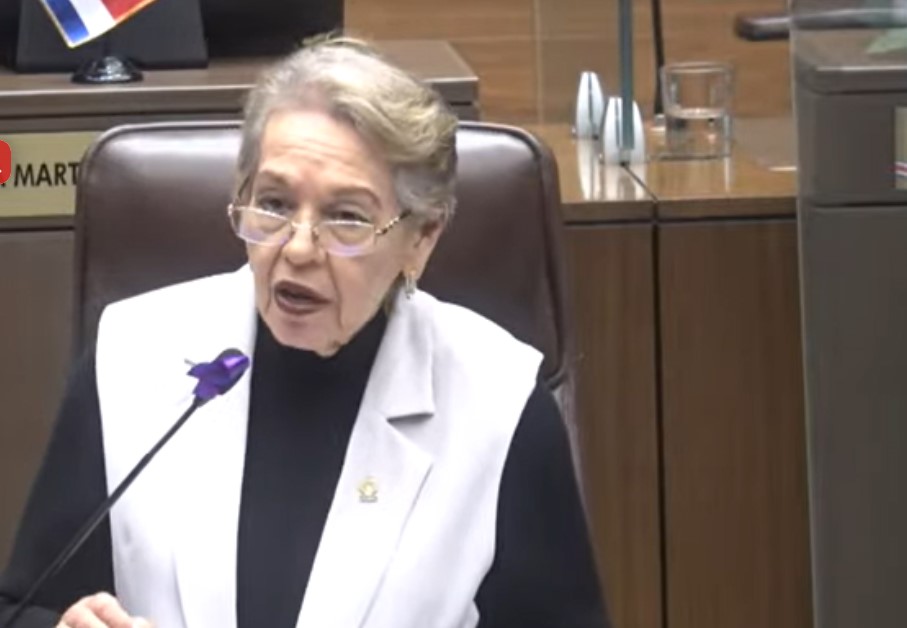 La diputada Gloria Navas aseguró que la moción fue un "llamado de atención" al Ejecutivo por la falta de acciones específicas para educar contra la violencia de género. (Imagen de transmisión legislativa).