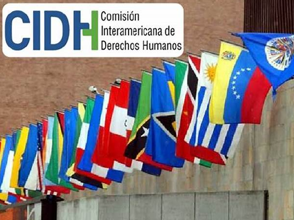 Comisi&oacute;n Interamericana de Derechos Humanos (CIDH)
