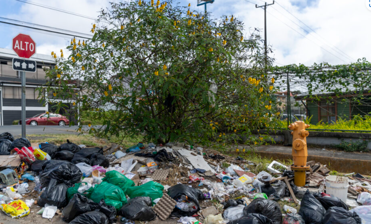 Contaminación