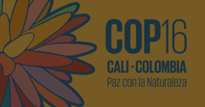 Anuncio sobre la nferencia de las Partes en el Convenio sobre la Diversidad Biológica en Cali, Colombia 2024 (COP16)