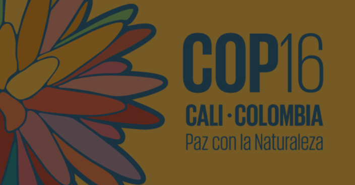 Anuncio sobre la nferencia de las Partes en el Convenio sobre la Diversidad Biol&oacute;gica en Cali, Colombia 2024 (COP16)