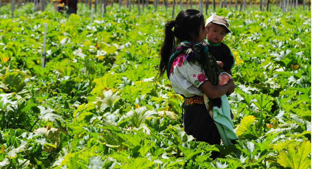 Mujer con niño en brazos en finca en Guatemala.